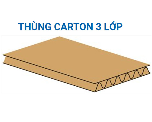 Sóng Carton 3 Lớp